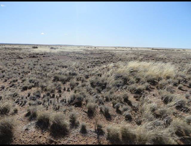 4,303HA FARM FOR SALE IN CALVINIA RURAL